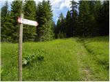 San Martino - Rifugio Malga Pala